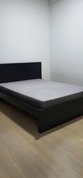 The Boutiq (D9), Apartment #483722591